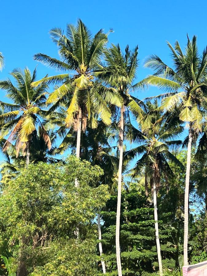 Naia Lombok Hotel Kuta  Eksteriør billede